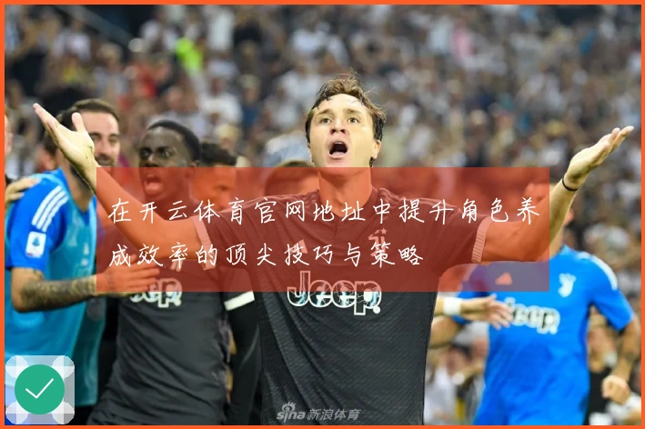 在开云体育官网地址中提升角色养成效率的顶尖技巧与策略